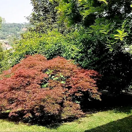 B&B Amabel Vigano
