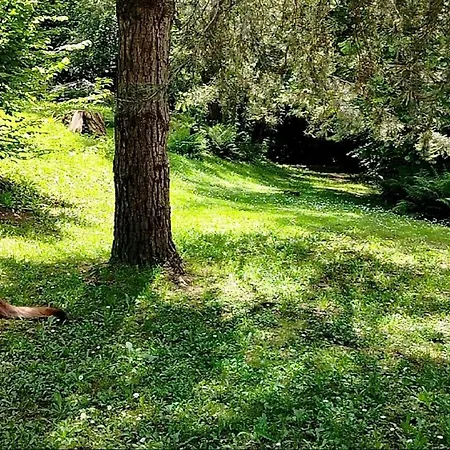 Nocleg ze śniadaniem Amabel 3*